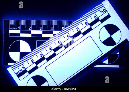 Photomacrographic forensic scale lit under UV light and glows 