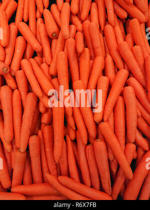 Carrots in a vegetable market.The Carrots group Stock Photo