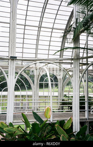 glass hall greenhouse Botanical garden Curitiba indoors structure architecture Stock Photo