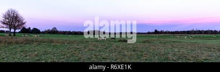 Sunset over the Tatton Park with herd of deer in background - Tatton Park Gardens,  Knutsford, United Kingdom Stock Photo