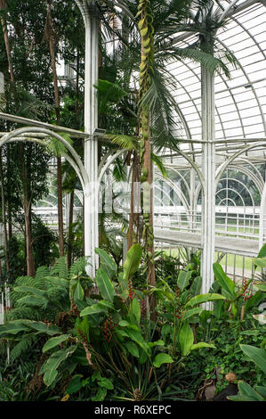 glass hall greenhouse Botanical garden park Curitiba indoors structure architecture Stock Photo