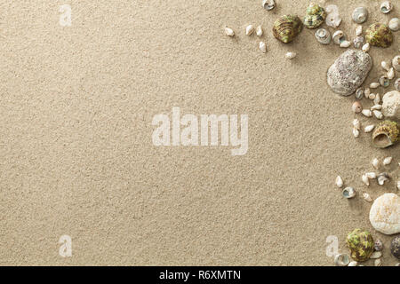 sand,beach background with shells and stones Stock Photo