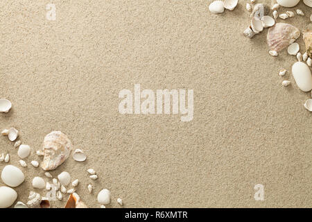 sandy beach background with shells and stones Stock Photo