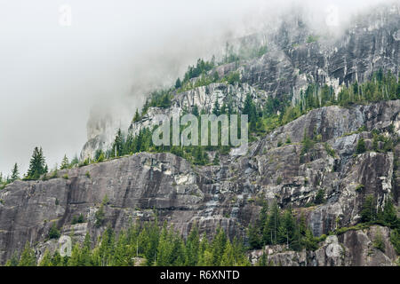 Steep, rugged granite cliffs with trees growing along narrow ledges rise sharply, their peaks almost obscured by clouds (British Columbia rainforest). Stock Photo