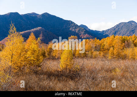 Mount Nantai and golden autumn in Japan Stock Photo