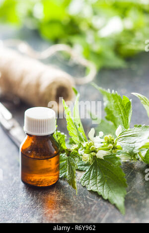 White dead nettle with aroma oil on old table. Stock Photo