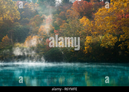 Autumn Onsen Lake Aomori Japan Stock Photo