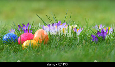colorful easter eggs on a green meadow Stock Photo