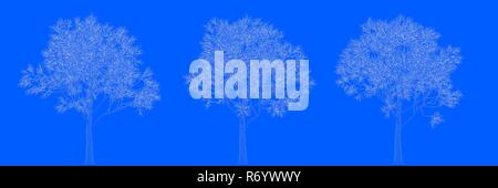 3d rendering of three trees as lines on a blue background