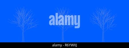 3d rendering of three trees as lines on a blue background