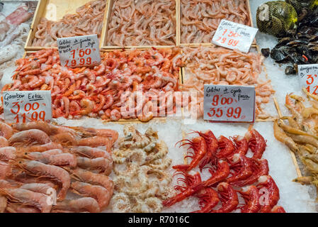 different types of shrimp for sale in a market Stock Photo