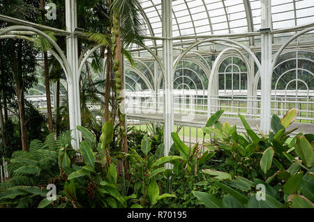 glass hall greenhouse Botanical garden Curitiba indoors white metallic structure architecture Stock Photo