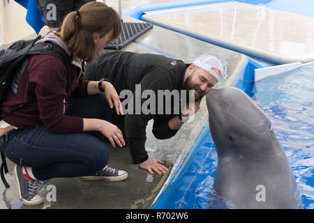 Getting kissed by a whale at Seaworld in San Diego Stock Photo