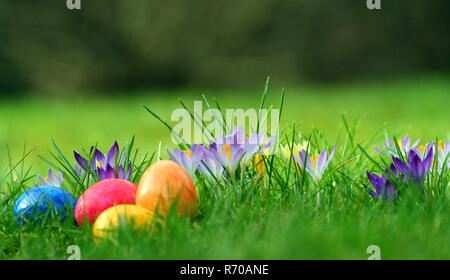 Stock Photo