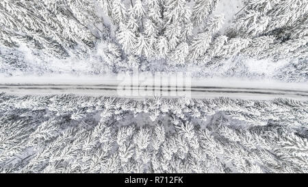 Forest seen from above in winter. Snow covered trees Stock Photo