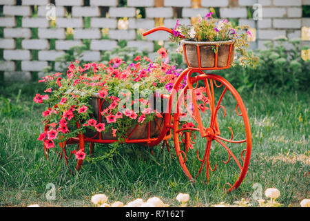 Decorative Vintage Model Old Bicycle Equipped Basket Flowers Garden. Stock Photo