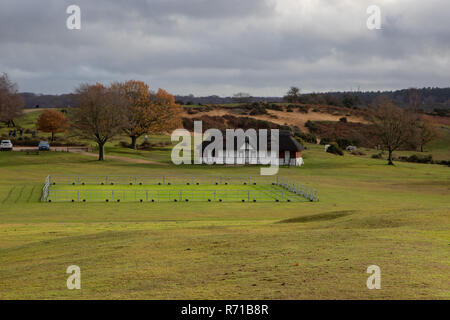 Cricket pitch protection from Ponies in Lyndhurst New Forest Stock Photo