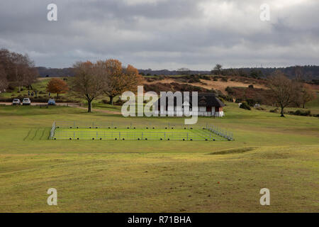 Cricket pitch protection from Ponies in Lyndhurst New Forest Stock Photo