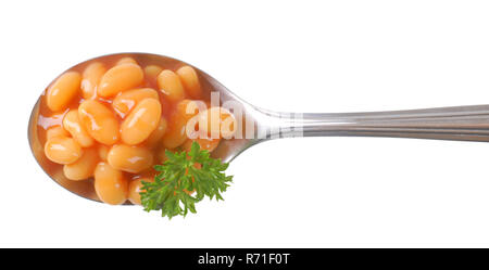 spoon of of beans in tomato sauce Stock Photo