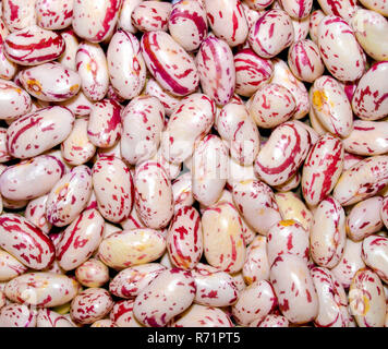 Beans useful ad background Stock Photo