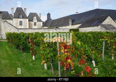 vineyards in the fall in the Loire valley, France with a small country castle in the back on a beautiful fall day Stock Photo