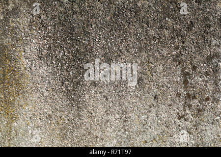 rough texture of a old gray wall. Stock Photo