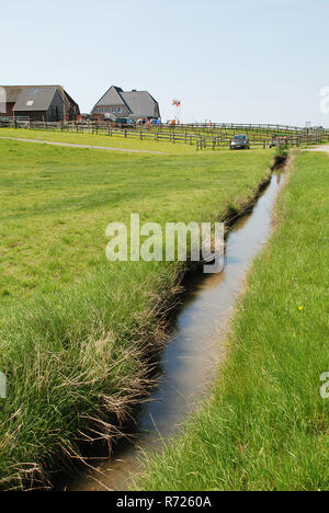 A ditch on the Hallig Hooge, Germany. The Halligen (singular Hallig) are ten small German islands without protective dikes Stock Photo
