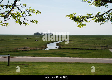 Hallig Hooge in North Friesland. The Halligen (singular Hallig) are ten small German islands without protective dikes Stock Photo