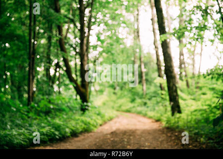 Blurred Abstract Bokeh Boke Natural Background Of Walkway Path Lane In Summer Forest Park. Stock Photo