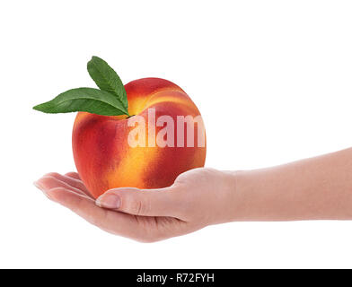 Ripe peach fruit with leaf in hand isolated on white background. Clipping Path. Full depth of field. Stock Photo