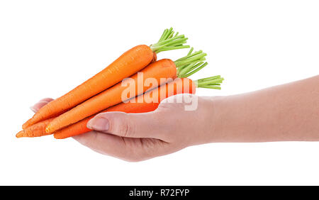 Heap of fresh clean carrot swith stems in hand isolated on white background. Clipping Path. Stock Photo