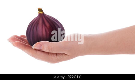 Fresh whole figs fruit in hand isolated on white background. Clipping Path. Full depth of field. Stock Photo