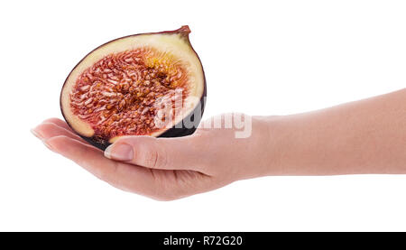 Fresh figs fruit cut in half in hand isolated on white background. Clipping Path. Full depth of field. Stock Photo