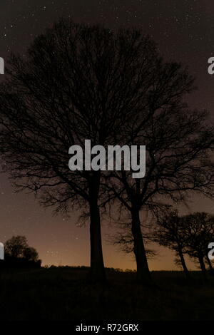 Stars shine through Oak tree branches with Orion low on the horizon Oakley Hampshire Stock Photo