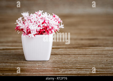 Small decorative artificial white flowers in pink pot Stock Photo - Alamy