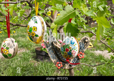 Easter egss hanging on the twig in the garden Stock Photo