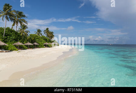 Beach with palm atoll island Maldives. Stock Photo