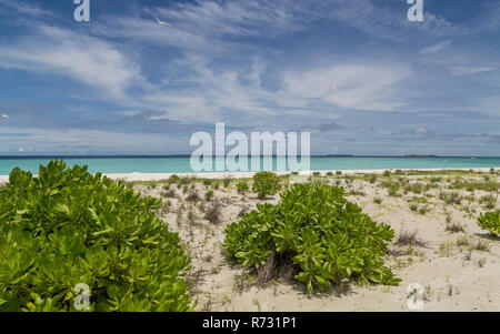 Sandbank on the beach Atoll island Maldives. Stock Photo