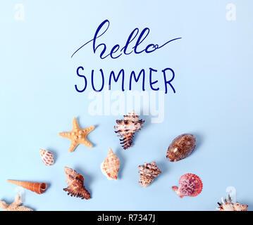 Creative layout made of different colorful seashells and greeting card with Hello Summer Lettering Stock Photo