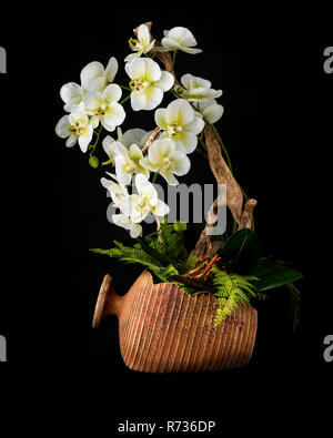 Floral arrangement from artificial orchid flowers in old ceramic flower pot on black background. Stock Photo