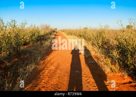 Shadow of two persons on a sand path in the middle of the red Kalahari desert in Namibia, Africa Stock Photo