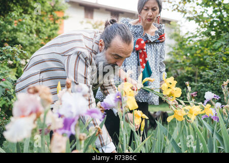 Couple picking flowers from garden Stock Photo