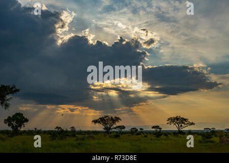 Dusk at Queen Elizabeth National Park, Uganda Stock Photo