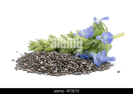 Chia (Salvia hispanica) Pile of seeds with flowers on white background Stock Photo