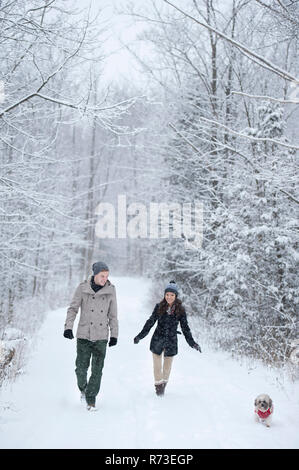 Young couple walking dog in snow covered forest, Ontario, Canada Stock Photo