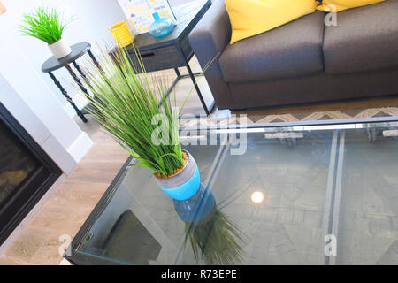 A green plant sitting on top of  a glass table. Stock Photo