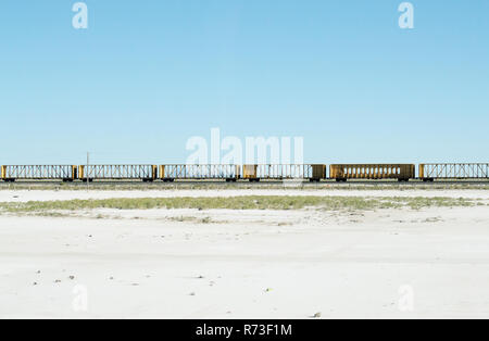 A row of empty train cars crossing the Utah salt flats.