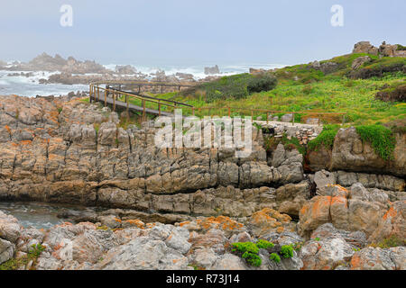 boardwalk, Atlantic Ocean, Kleinmond, Western Cape, South Africa, Africa Stock Photo