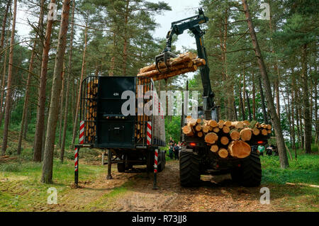 Forestry, forwarder, pine trunks,  (Pinus sylvestris), pine forest, forest technology, forest machinery, Sarenseck, Lower Saxony, Germany Stock Photo