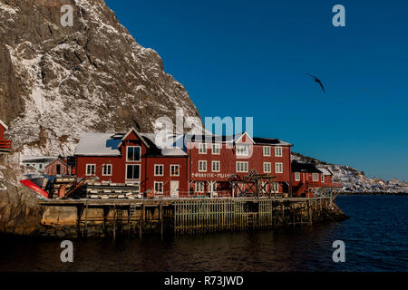 Stockfish, Norway - Stock Image - C009/7686 - Science Photo Library